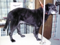 George before his clipping